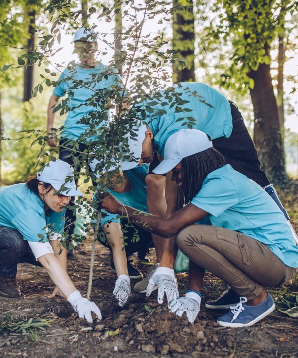 Environmental Conservation